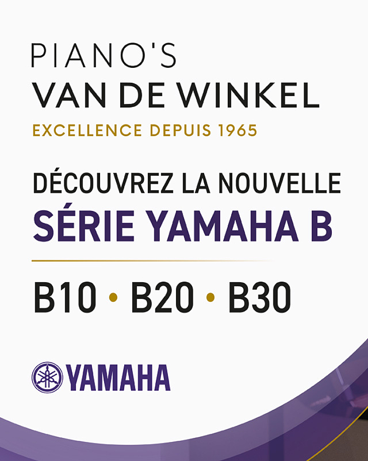 Pvdw Adv Yamaha Fr
