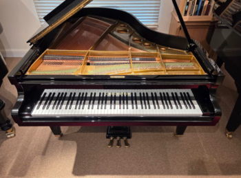 Occasion Piano À Queue C  Bechstein Modèle M