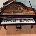 Occasie Vleugelpiano Schimmel 174 T 1991